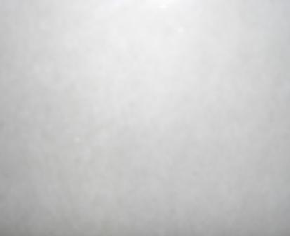 Alaska White